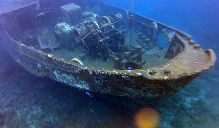 padi specialty course