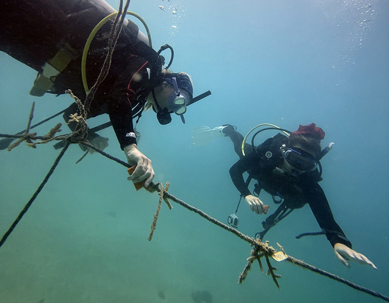 Image: divers_MC.jpg