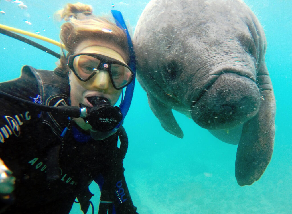 Image: manatee-1024x750.jpg