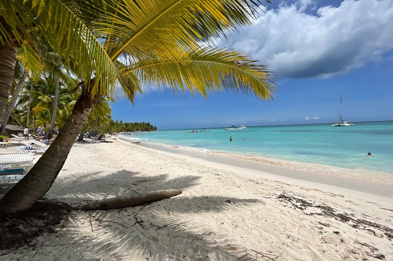 Snorkeling in Saona Island with professional PADI guides