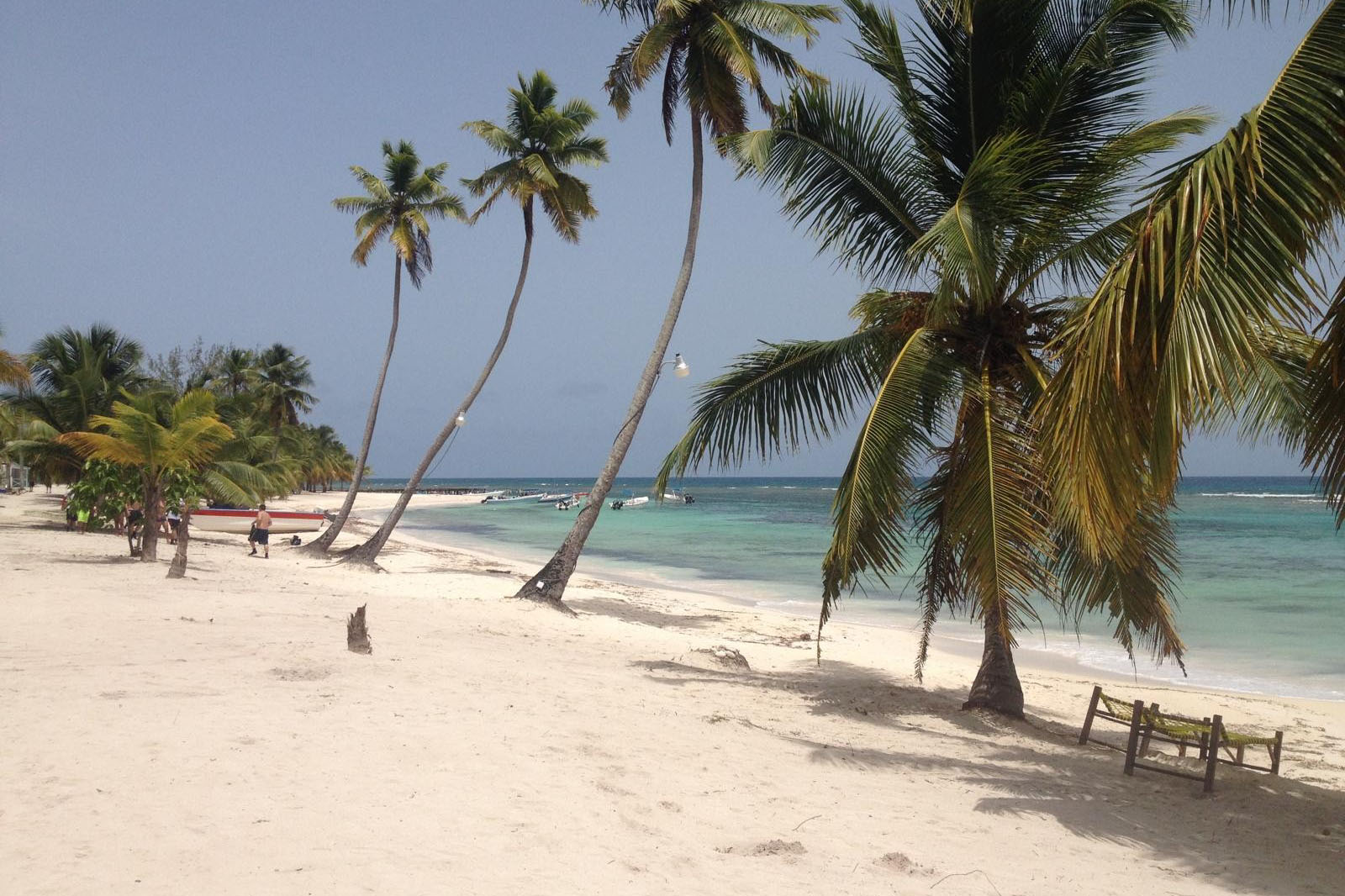 Small group Saona Island tour without crowds