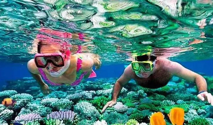 PADI professional training and internships
