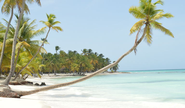 Snorkeling à Saona