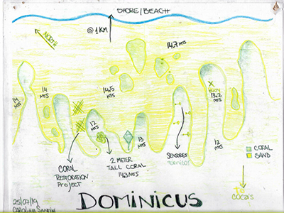 Dominicus reef