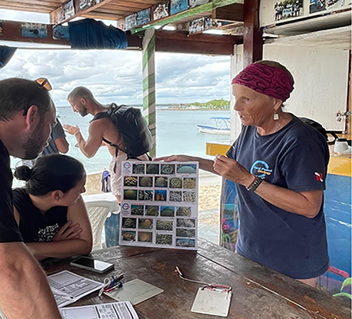 Experiencia Discover Scuba Diving en Coral Point