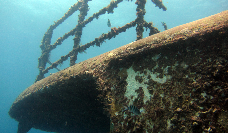 PADI Adventure Diver in Bayahibe