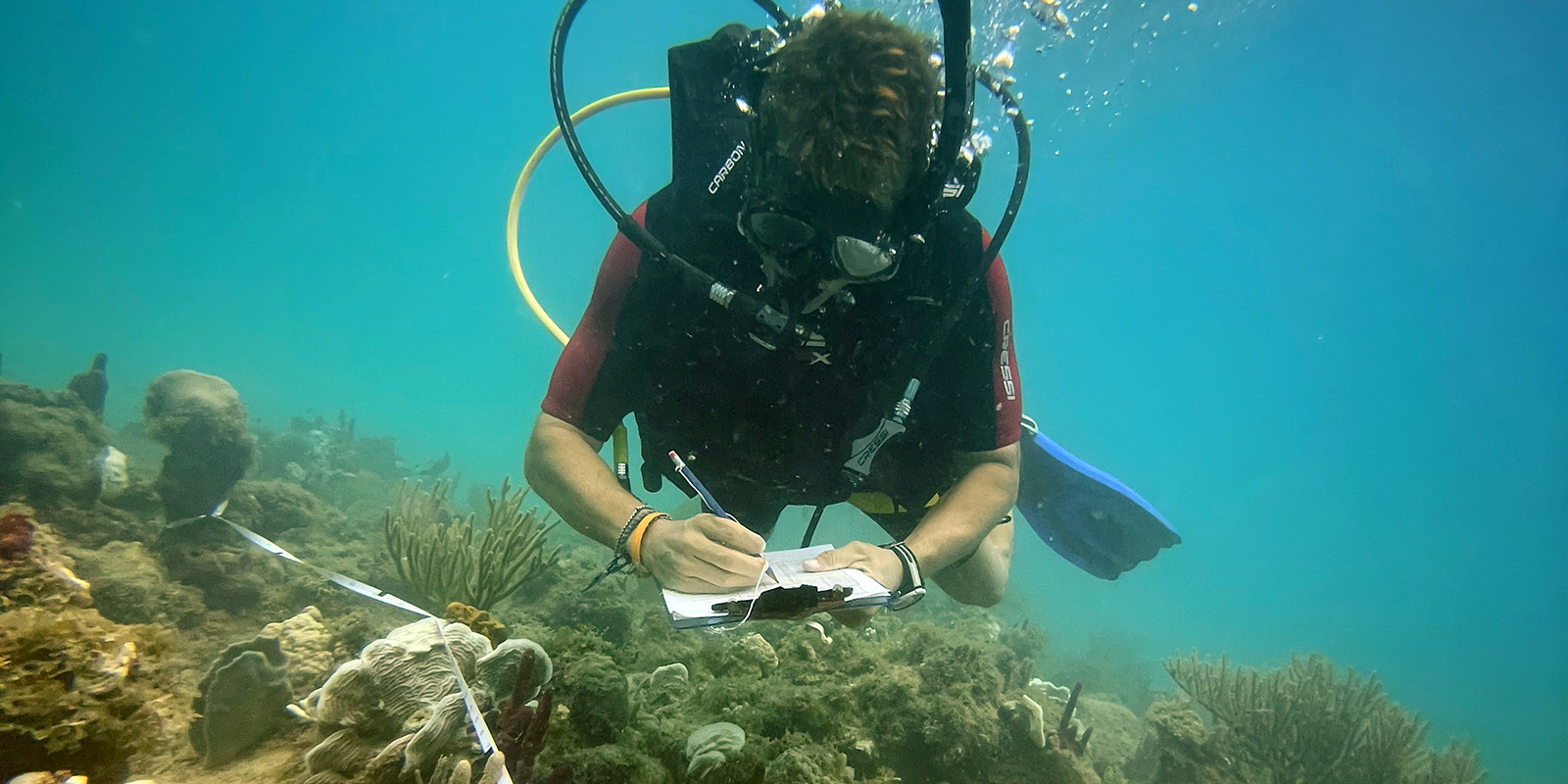 PADI IDC
