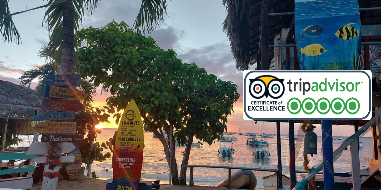 PADI Open Water Dive