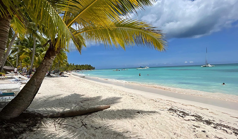 Snorkeling to Saona, Catalina and Bayahibe reef