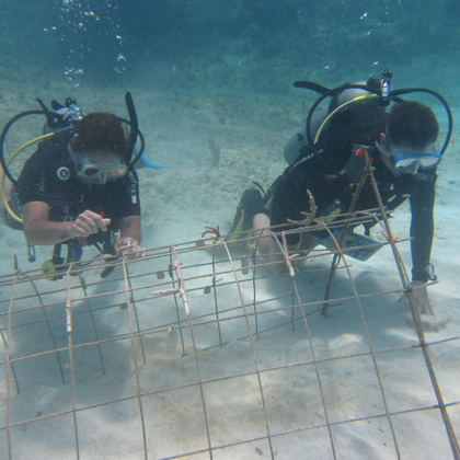 work in scuba diving