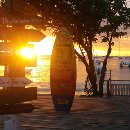 Bayahibe scuba diving